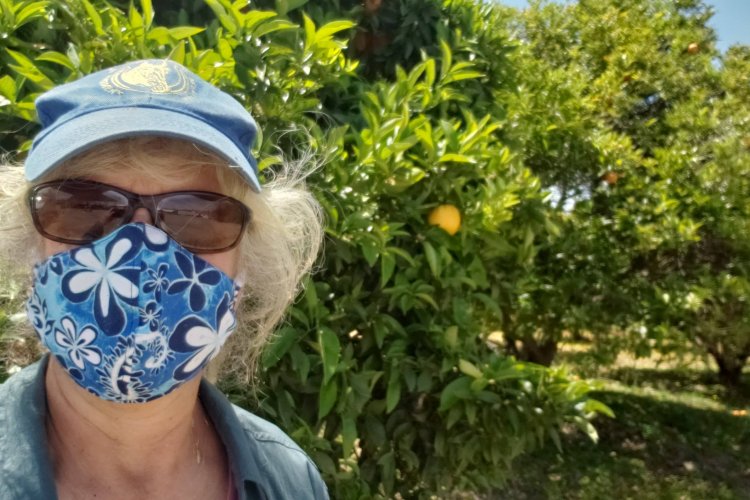 Orange Orchard Volunteer wearing mask