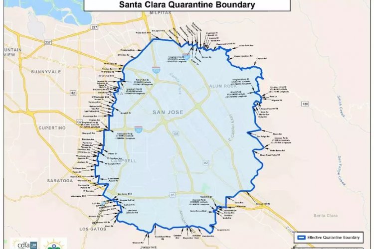 2025 Mediterranean Fruit Fly Quarantine Zone in Santa Clara County