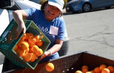 Pouring oranges