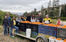 Volunteers with a tractor full of oranges
